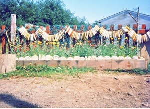beachcombing gatherings